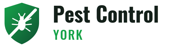 York Pest Control